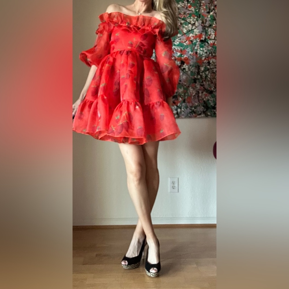 NWT Selkie Cherub Dress - Picture 3 of 11